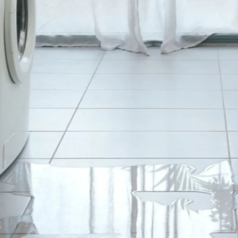 Appliance Leak Cleanup in Geneva, FL