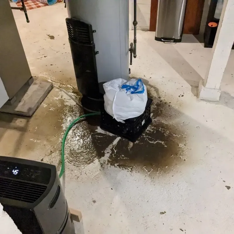 Sewage Backup Cleanup Service in Geneva, FL